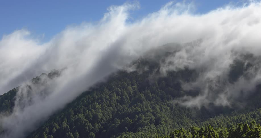 Mist and fog is covering the wooded mountains