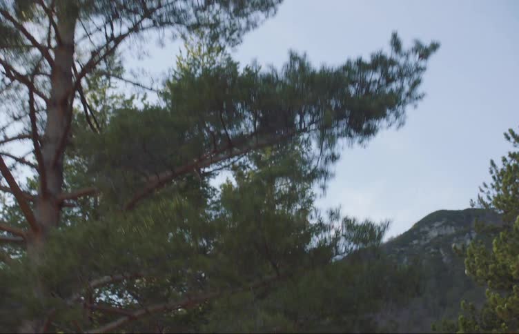 View of mountains and trees on a cloudy day