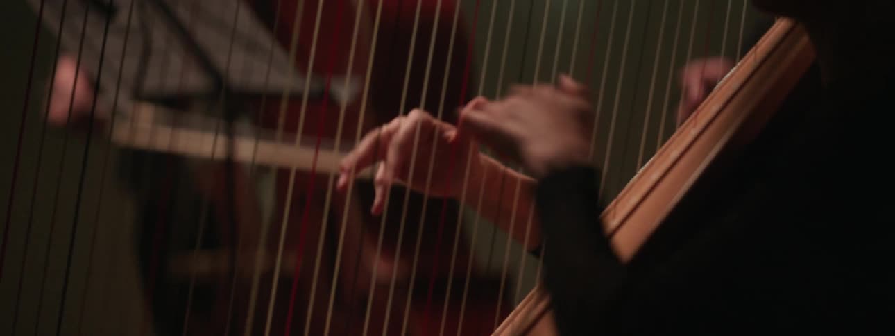 People are playing orchestra instruments together