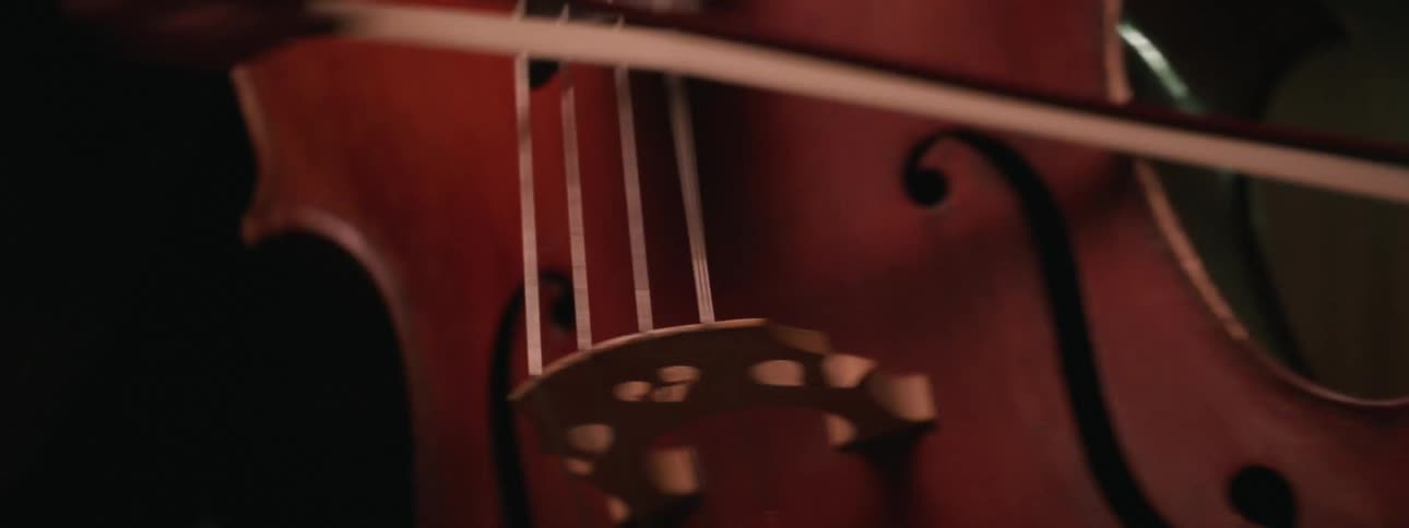 People are playing the violin instrument indoors