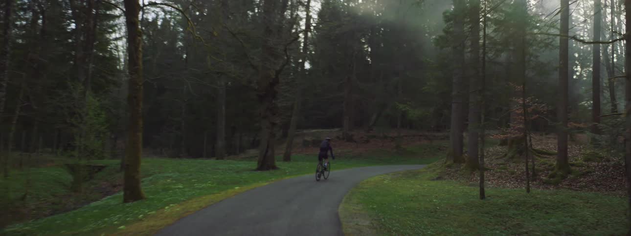 A person cycling down a narrow road flanked by tall trees