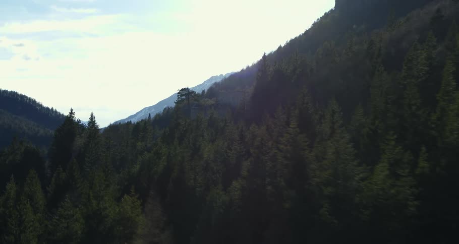 Aerial scenery of a castle surrounded by conifers on a mountain