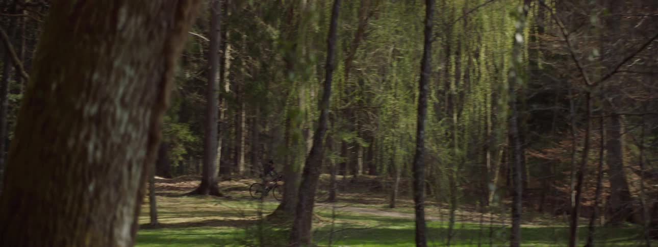 Mountain biker riding on a trail through the forest