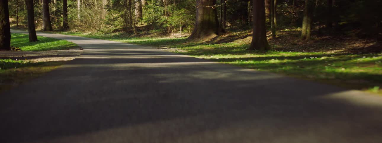 A pathway goes through a park surrounded by trees