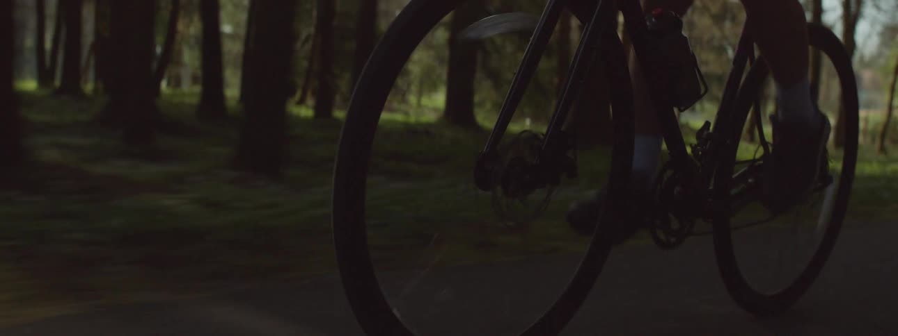 A female is riding a bicycle on a pathway during spring