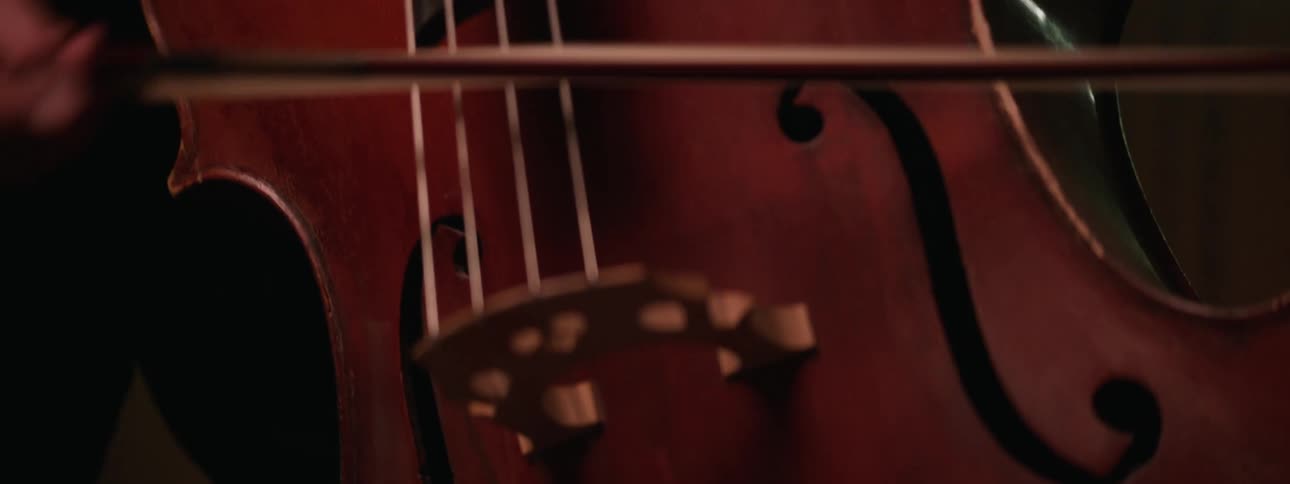 A person is playing a musical string instrument