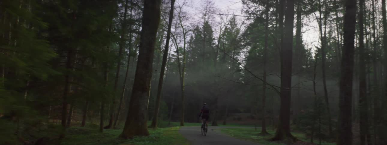 Person is biking on a path in the middle of a wooded area