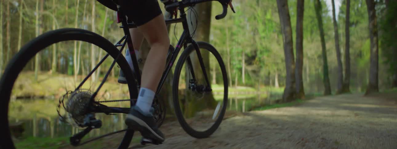 A person is going on a bike ride through a scenic park