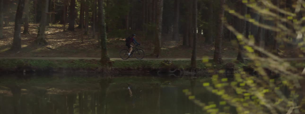 A person riding a bicycle through a forest path surrounded by tall trees and reflected in a calm lake
