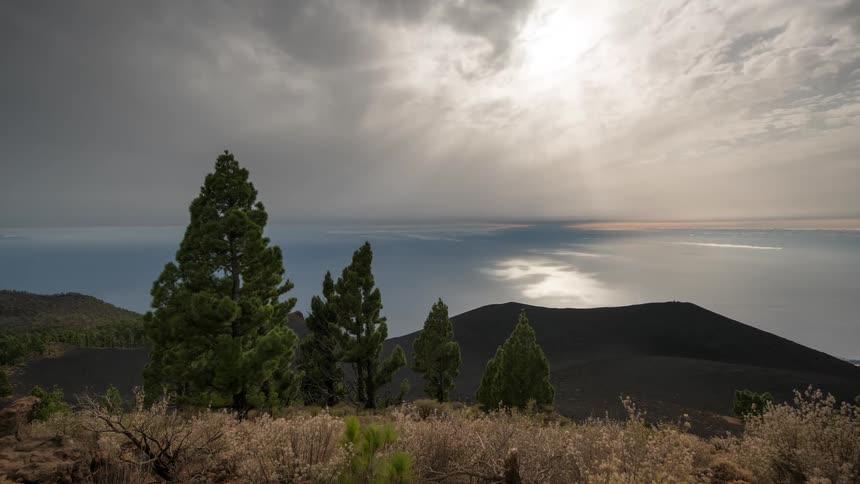 Natural landscape with green trees under a partly cloudy sky with sun rays