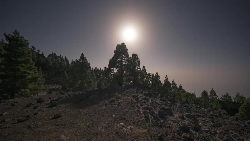 Landscape with the sun setting and the sky becoming stars illuminating a rocky terrain and trees in the background