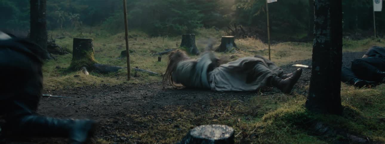 Two combatants roll away from one another on a forest floor