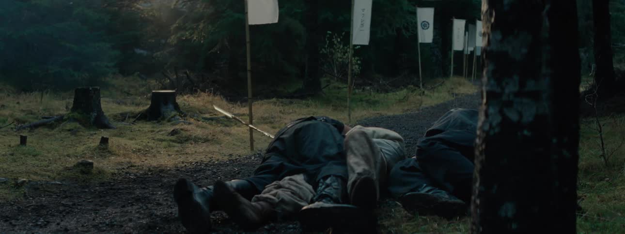 A person with an arrow in their back falling on top of a body in a forest