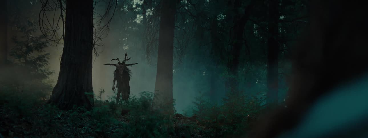Person looks toward figure wearing costume topped with a skull while in the foggy woods