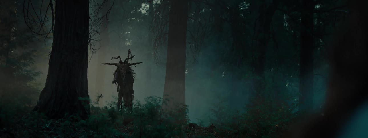A skeleton of an animal head stuck on a stake in the middle of the forest