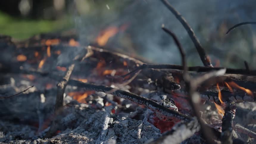 Burning branches and leaves with rising smoke
