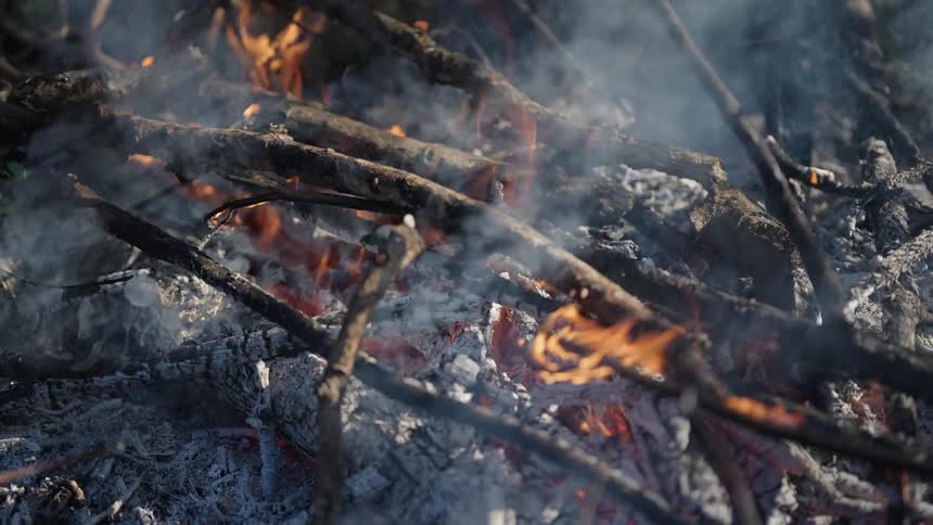 Closeup on thin logs with embers on fire and smoke rising