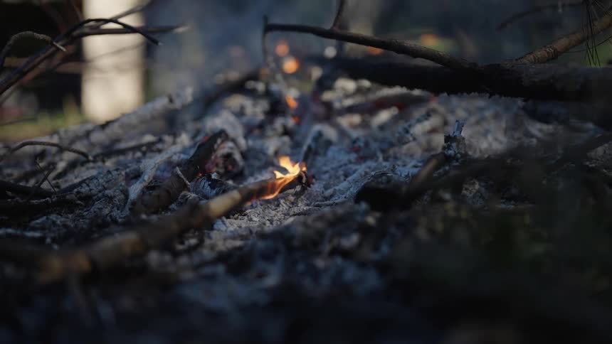 Ashes and small flames from a fire among the debris and branches