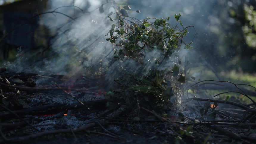 A pile of brush tossed on a fire near a rural home