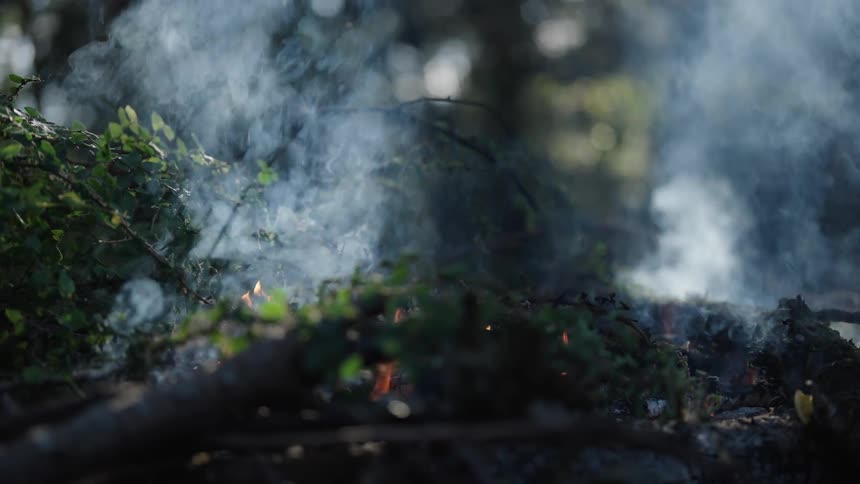 Smoke rises from a small brush fire burning outdoors