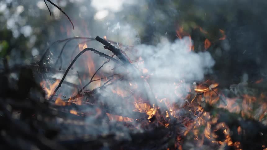 Burning branches and leaves at dusk