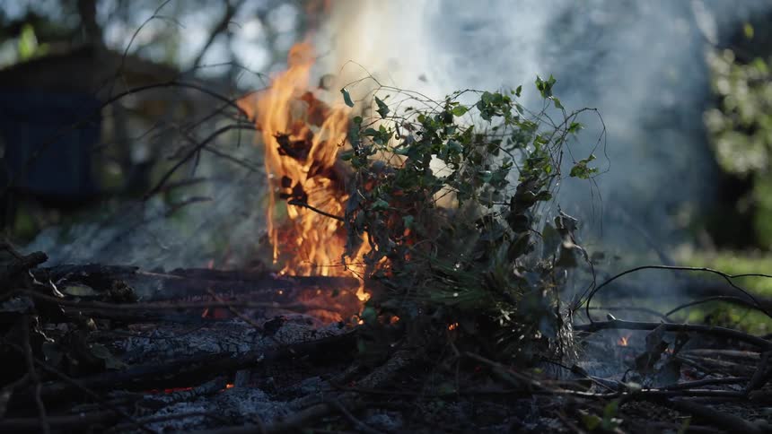 Flames burning leaves and branches in a forest area