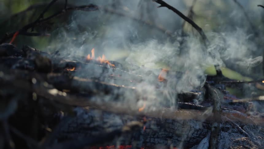 Burning wood with glowing embers and rising smoke