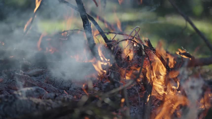 Closeup of an ember catching fire in nature