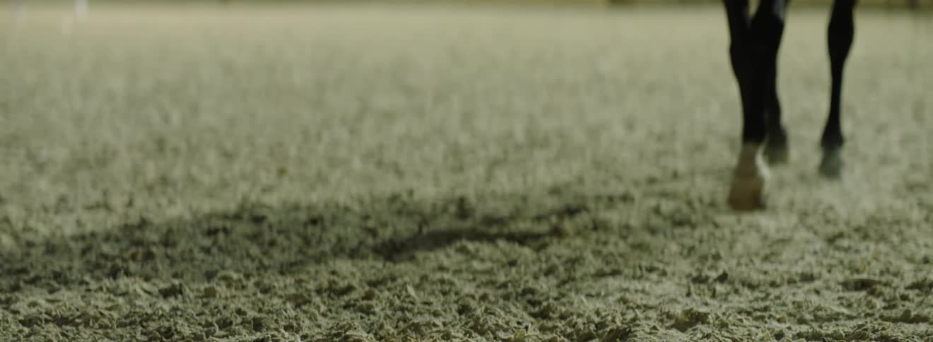 A horse walks over a dusty flat plain