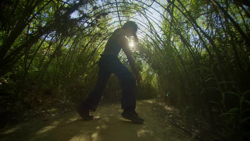 A person dancing under an arch of green vegetation with sunlight shining through the leaves