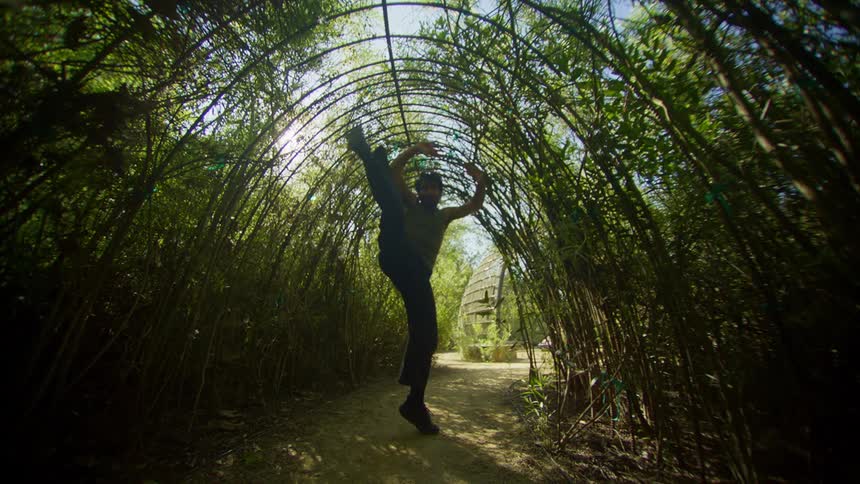 Man dancing under a natural arch formed by densely intertwined branches