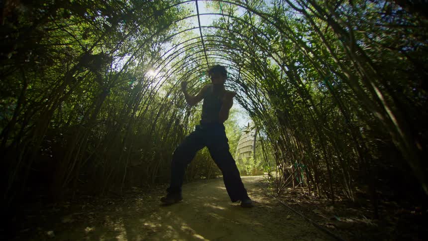 A man dances under an arch of vegetation with sunlight filtering through the folliage