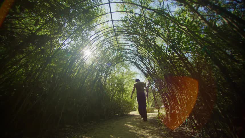 Man walking in a natural tunnel formed by trees and bushes
