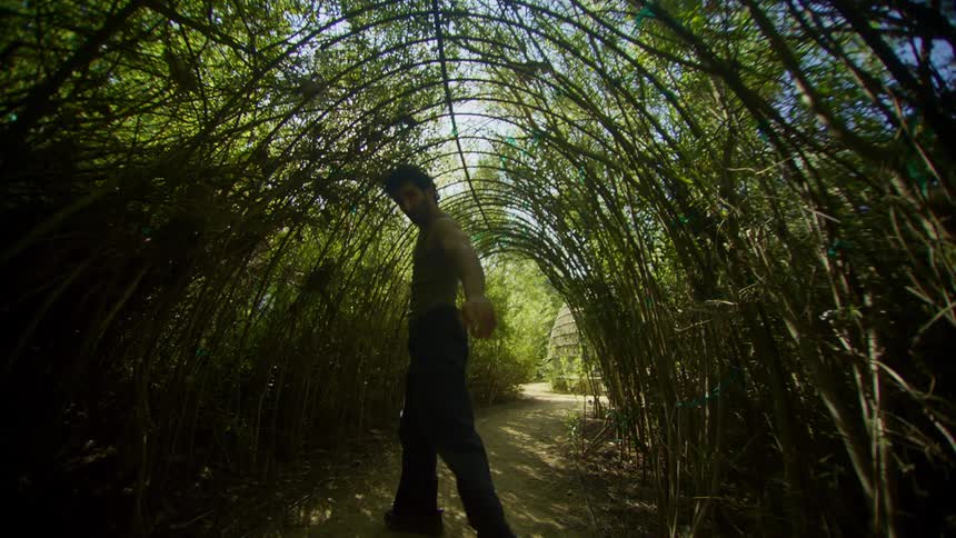 A young man dances in a tunnel made out of bent trees