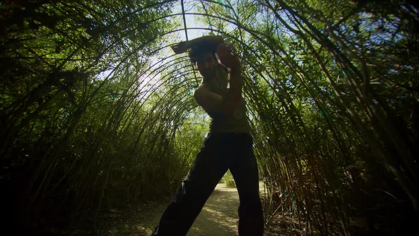 Man dancing inside a natural bamboo tunnel with trees around