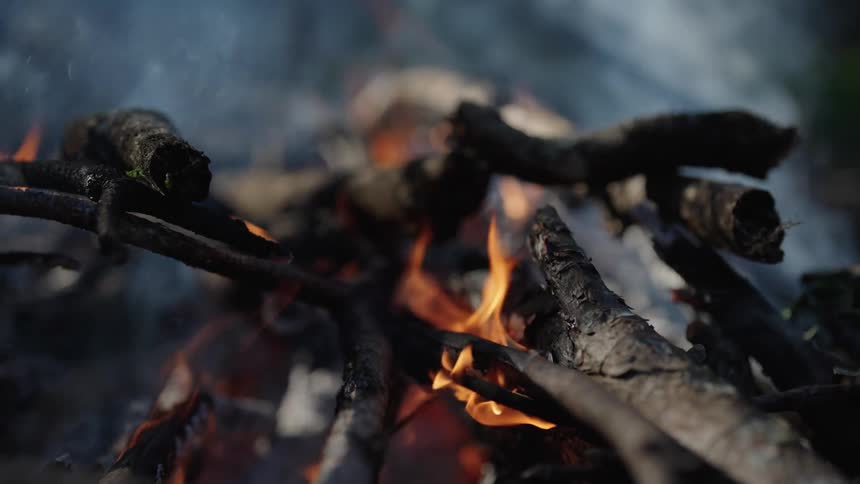 Close up of flames and smoke burning a small pile of twigs