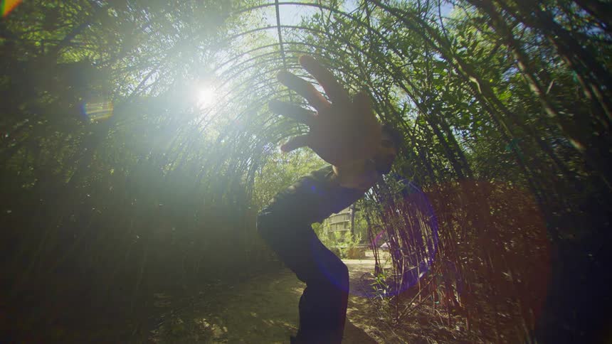 Man dancing in a tunnel formed by branches and natural trees in a garden