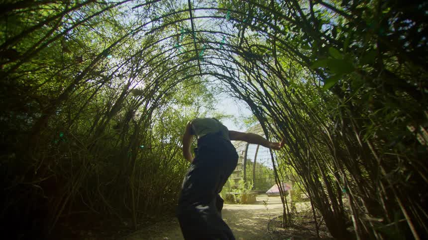 A man making movements with his legs going backwards and he is under an arch of branches and leaves
