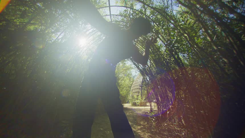 Man with his back dancing in an arch of branches with trees around in an outdoor and natural environment