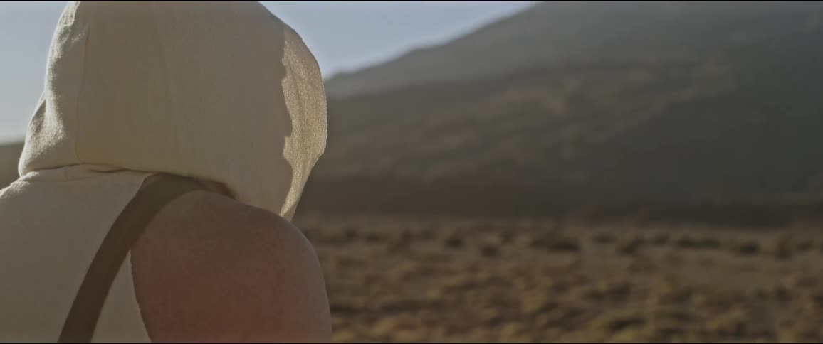 A persons back is with a white cloth on their head looking at a mountain that is lit by sunlight