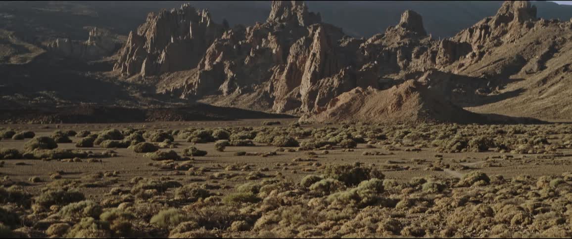 Arid landscape with prominent rock formations in the background and sparse undergrowth