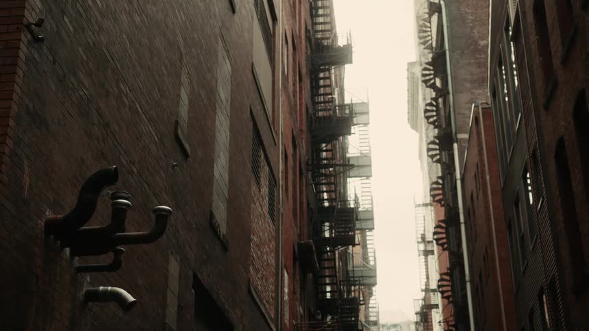 A narrow alleyway between two tall brick buildings with fire escapes attached to their exteriors