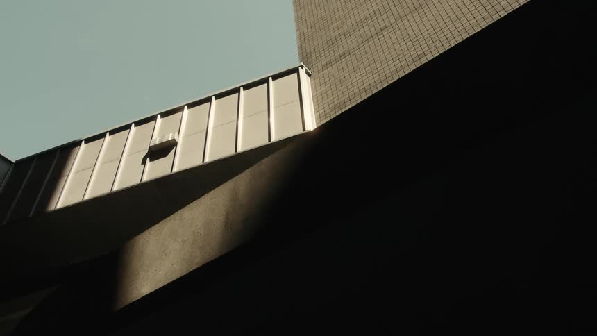 Bird flies by the roof of a building made of brown square bricks