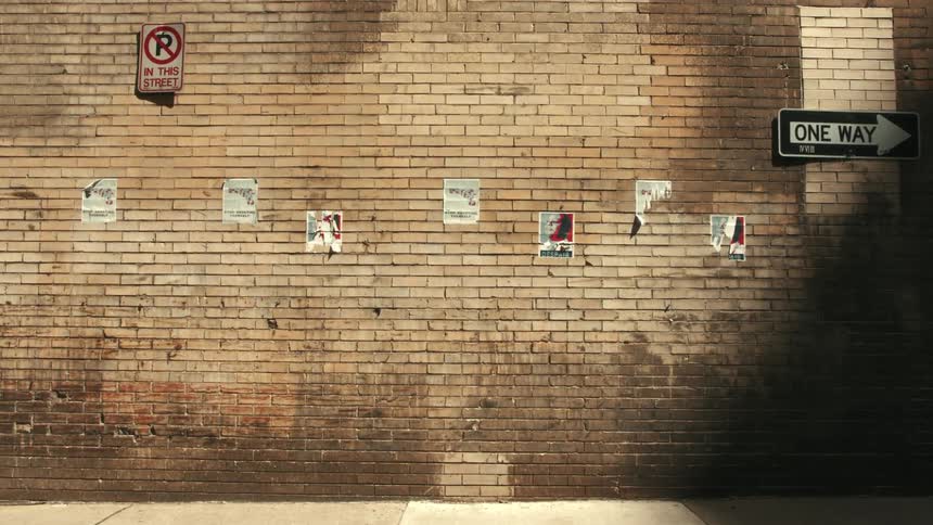 Animal runs past dirty brick wall plastered with flyers