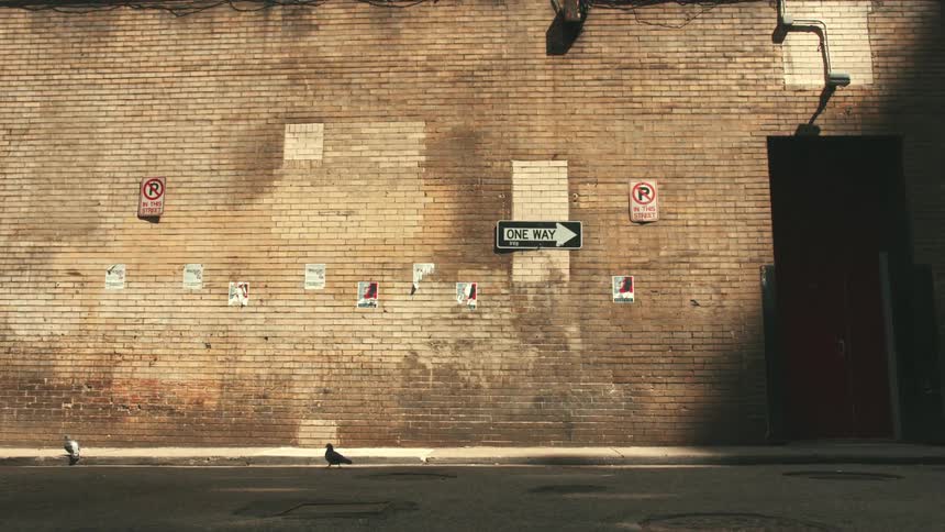 Alley with a building in the background and two doves walking