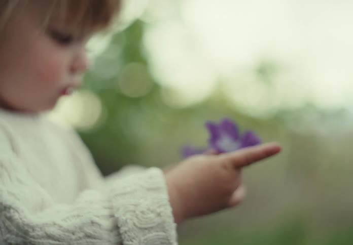 Two small blonde twin sisters holding a purple flower in a field