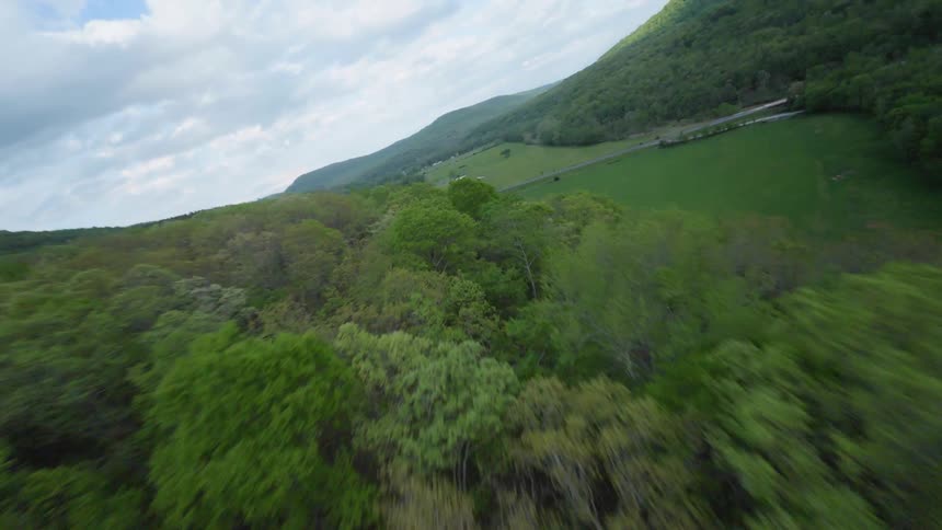 A dense forest grows near a rural area with country roads and a bridge over water