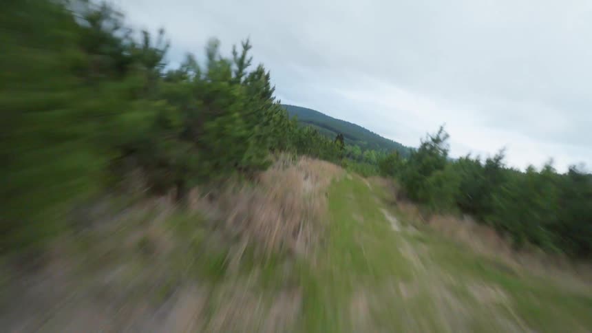 Aerial view of a dirt trail in Arkansas surrounded by natural vegetation and rolling hills in the distance