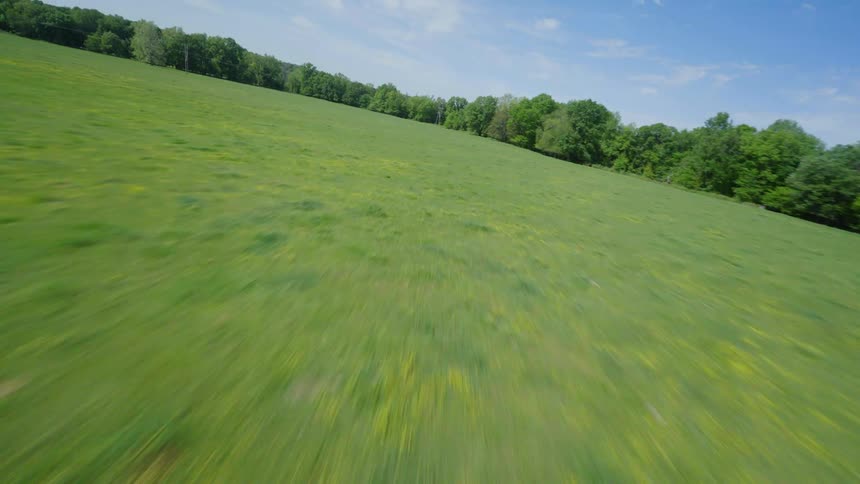 A huge field gives way to a lush forested area in the country