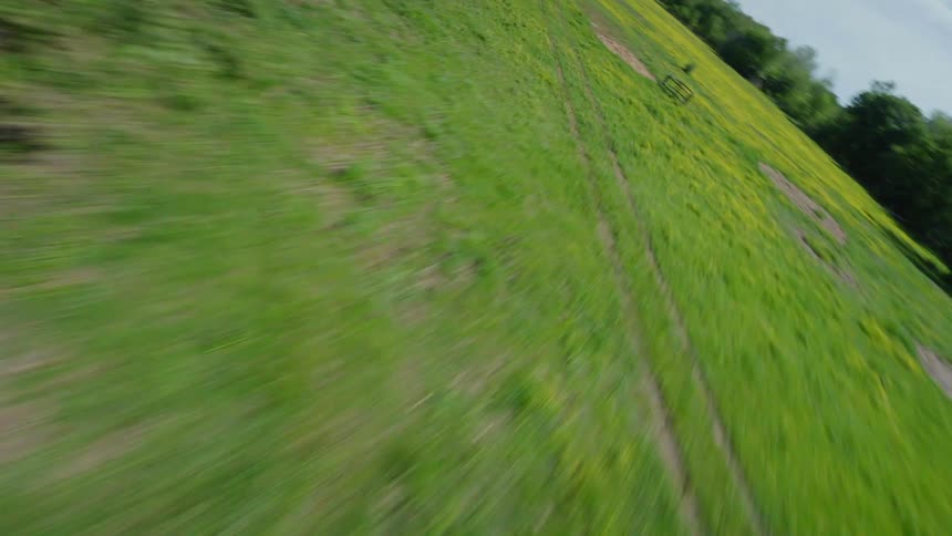 Lush green fields and forests with dirt cart trails in rural Arkansas